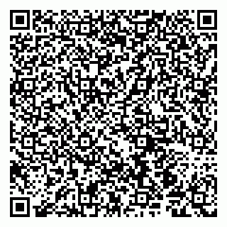 vCard 79190700229