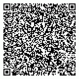 vCard 79190700234