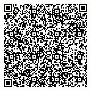 vCard 79190700235