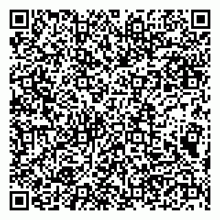 vCard 79190700241