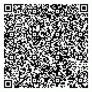 vCard 79190700271