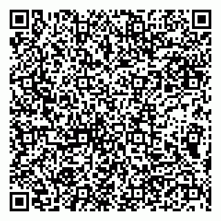 vCard 79190700273