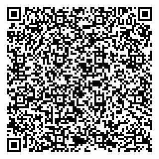vCard 79190700287