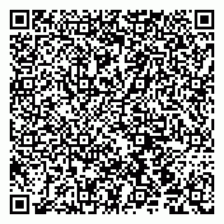 vCard 79190700289