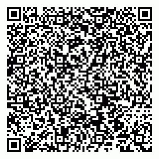 vCard 79190700290