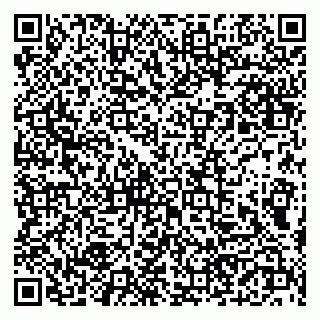vCard 79190700291