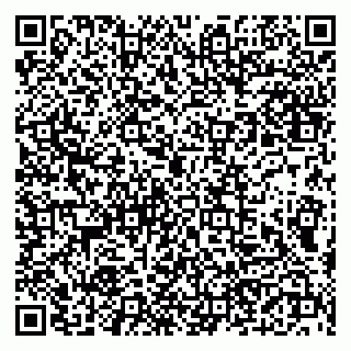 vCard 79190700294