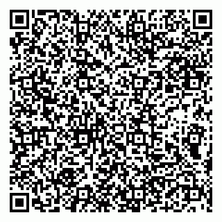 vCard 79190700295
