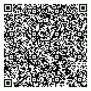 vCard 79190700299
