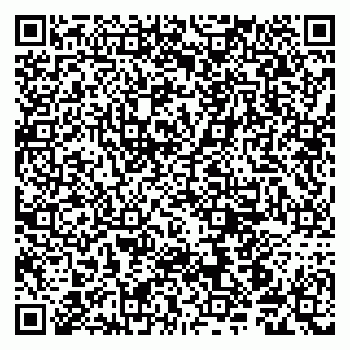 vCard 79190700300