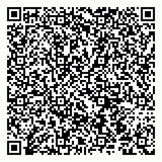 vCard 79190700301