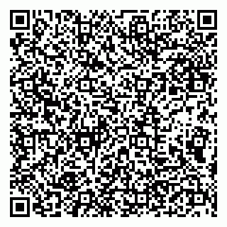 vCard 79190700305