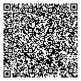 vCard 79190700314