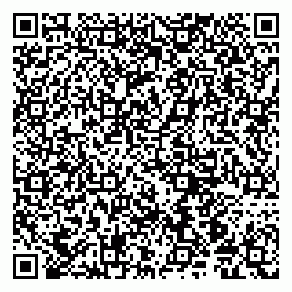 vCard 79190700316