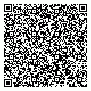 vCard 79190700317