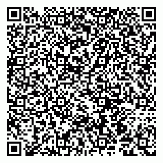 vCard 79190700319