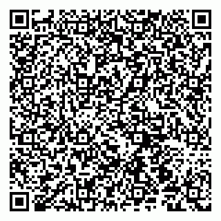 vCard 79190700321