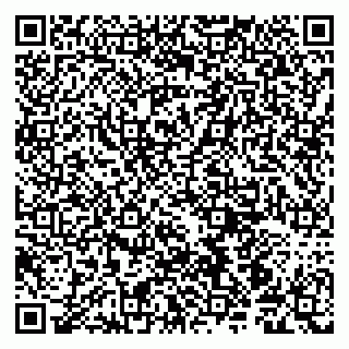 vCard 79190700333