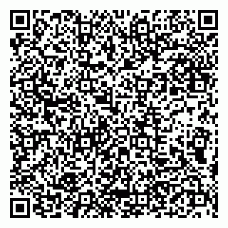 vCard 79190700334