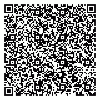 vCard 79190700335