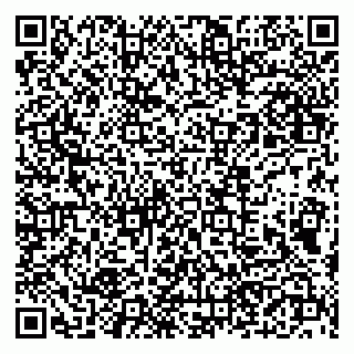 vCard 79190700353