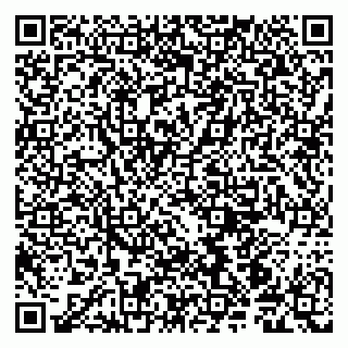 vCard 79190700355