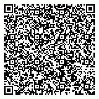 vCard 79190700370