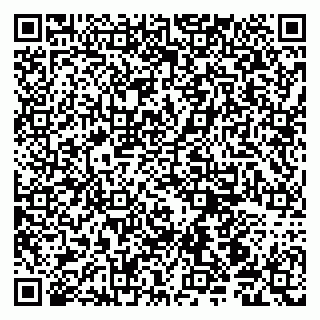 vCard 79190700379