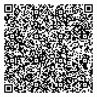vCard 79190700380