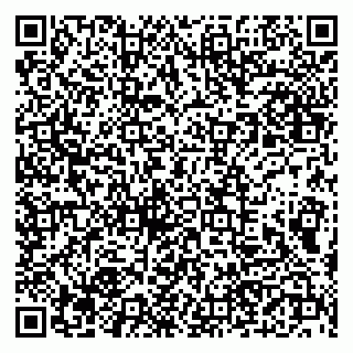 vCard 79190700381