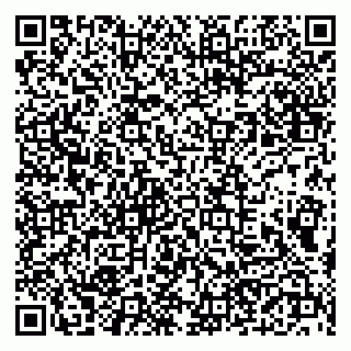 vCard 79190700383
