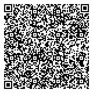 vCard 79190700385