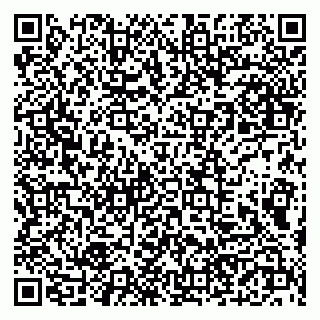 vCard 79190700387