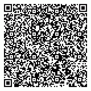 vCard 79190700389