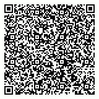 vCard 79190700391