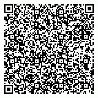 vCard 79190700393