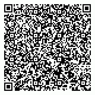 vCard 79190700398