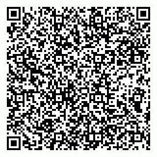 vCard 79190700399
