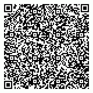 vCard 79191380000