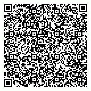 vCard 79191380001