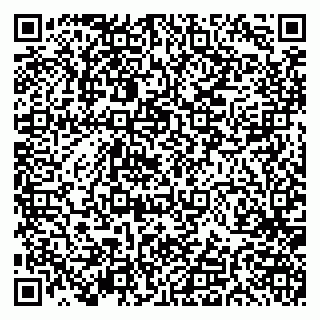 vCard 79191380002