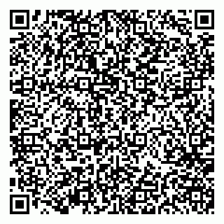 vCard 79191380003