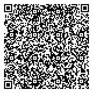 vCard 79191380004