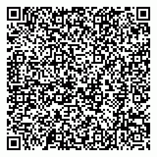 vCard 79191380005