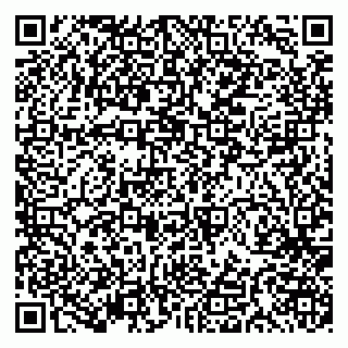 vCard 79191380006