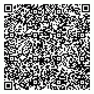 vCard 79191380008