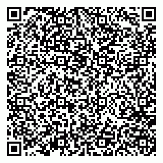 vCard 79191380009