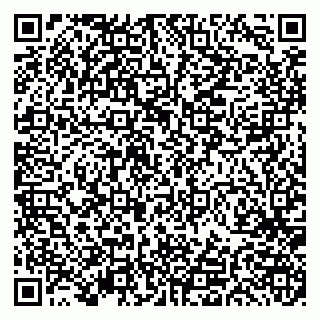 vCard 79191380010