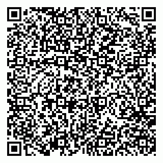 vCard 79191380011