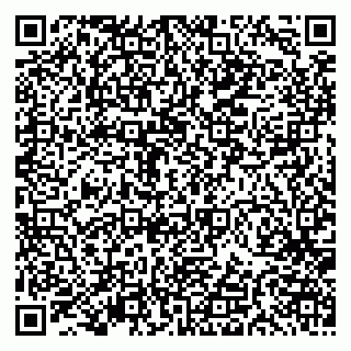 vCard 79191380012